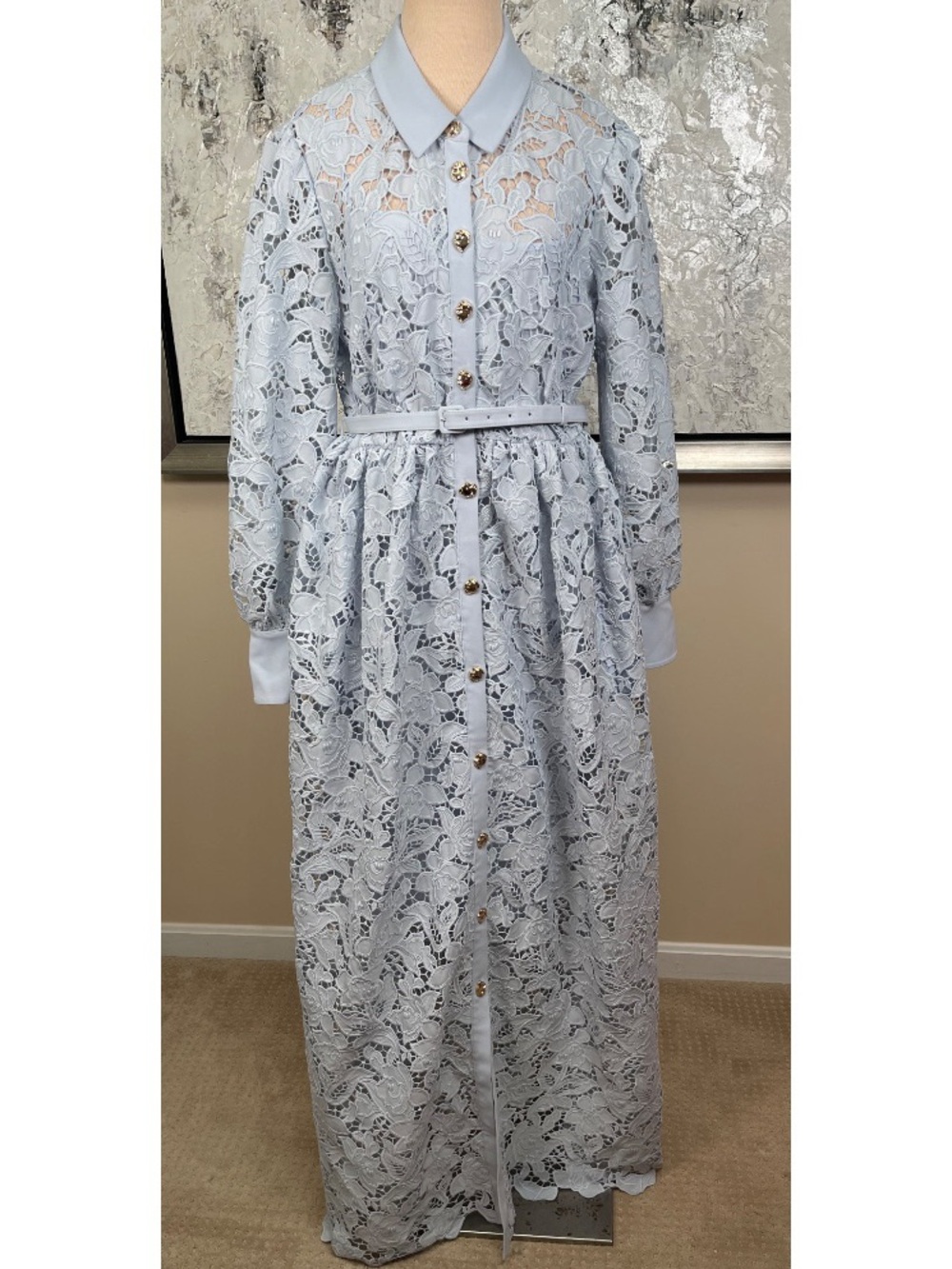 SELF-PORTRAIT Blue Lace Collared Floral Long Sleeve Button Down Maxi Dress Sz 10 - Picture 3 of 14